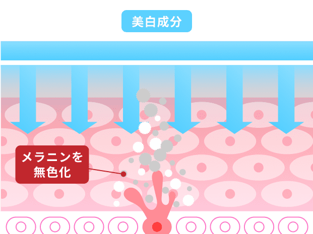 美白成分入りのスキンケアを行う