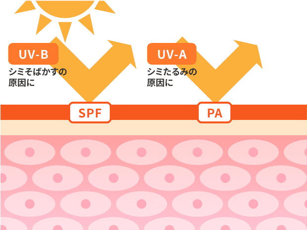 紫外線対策を徹底する