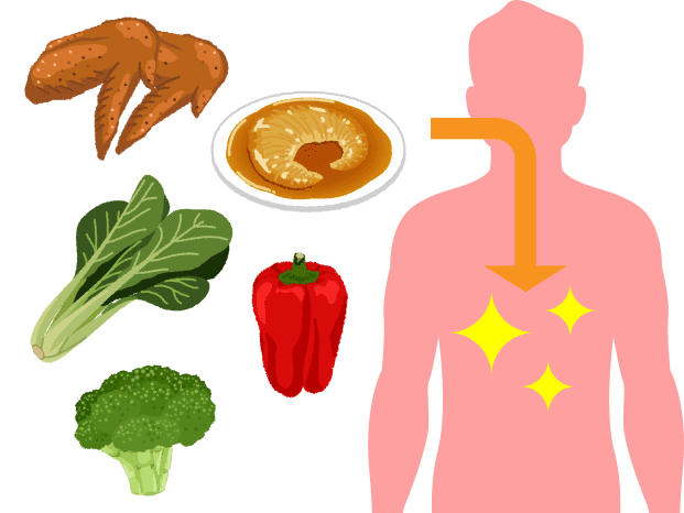 食生活を改善してコラーゲンを作る