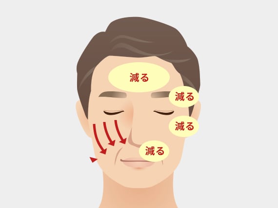 脂肪と筋肉の変化によるたるみ