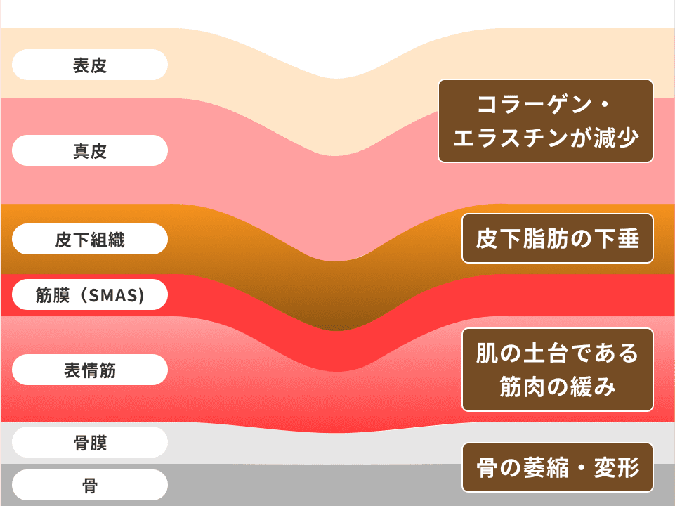 男性のたるみ治療について